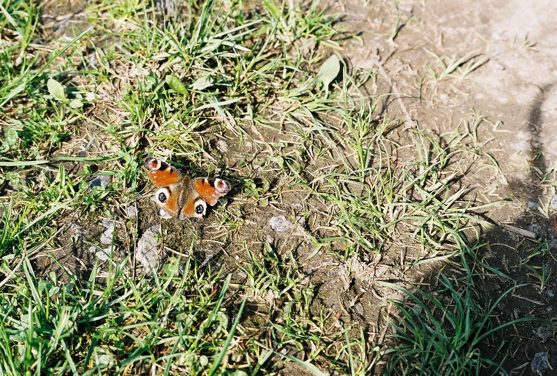 Jarní soustředění 2002