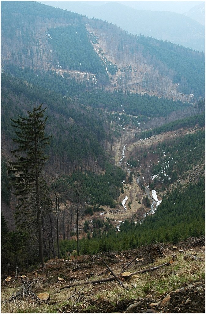 Jarní soustředění 2005