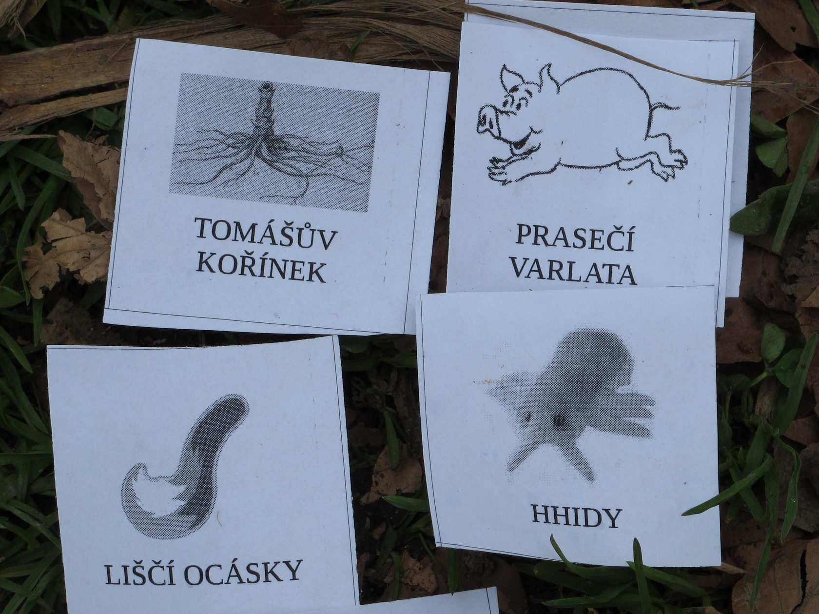 Jarní soustředění 2012