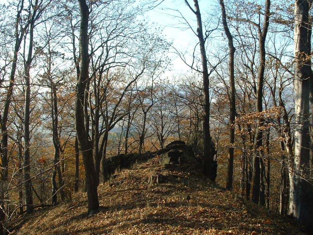 Podzimní soustředění 2003