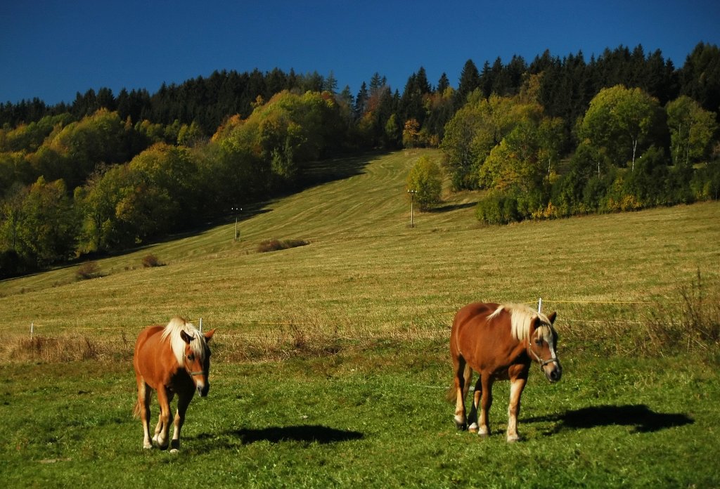 Podzimní soustředění 2005