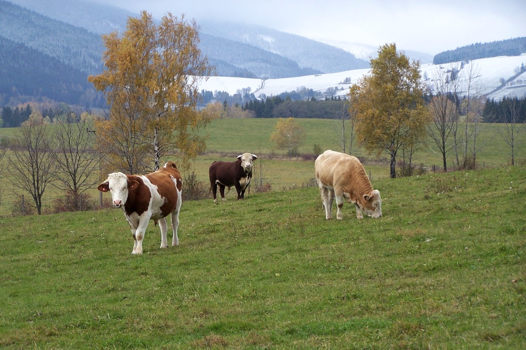 Podzimní soustředění 2007
